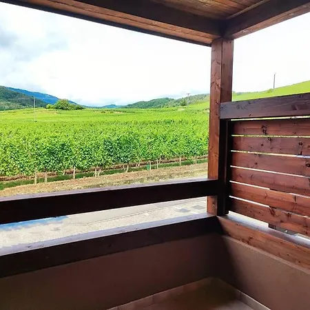 Le Vign'art Bergheim