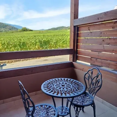 Le Vign'art * Bergheim